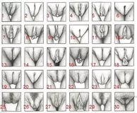 Разновидности пизды (97 фото) - Порно фото голых девушек