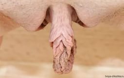 Эротика большая необычная вагина (67 фото)
