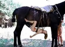 Лошадь девушка секс видео смотреть